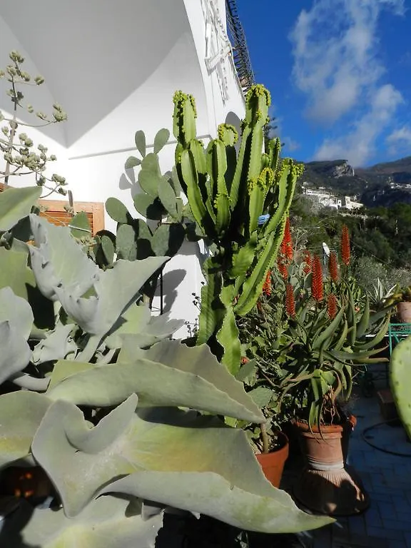 La Dolce Vita a Positano boutique hotel Italie